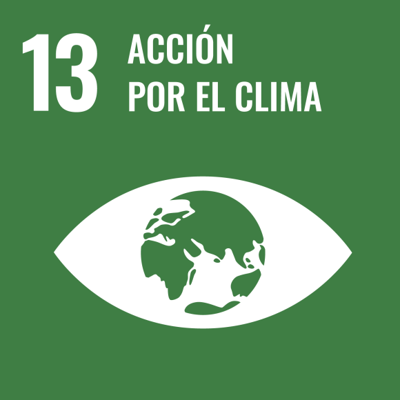 13. Acción por el clima 13. Acción por el clima