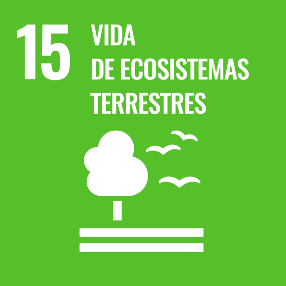 15. Vida de ecosistemas terrestres 15. Vida de ecosistemas terrestres